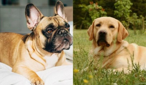 ��������� ������ ��� ������ ����: 13 ��������� ����� ��� ����������� ������