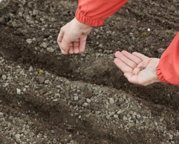 ��� �������� � ����� ���� ������ ������? ���������� ��������, ������� ����� �����������