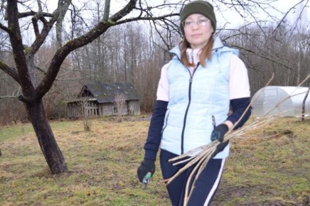 �������� � ����: �������� ������ ��� �������� ���������� � ����