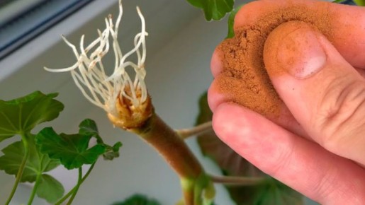 ���������� ������: ������� � �������� ����� � ������� ��������