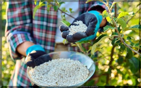 ������ ��� ���������: ����������� ������������ ��� ��������