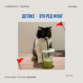 ������: ���� � ���������� ������ ���������