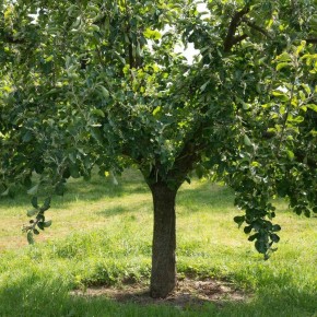 ������� ������� ��� ������� ������: ������� ��������� ����