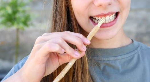 ��������������� �����: ����������� ����� ������� ������ �������� �������