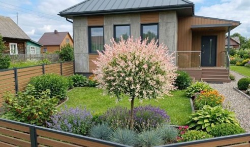 ������� ���������� ���������� ����: �������� ��������-�������� ��� ������������� �������