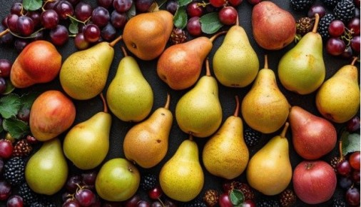 ������������ ������ � ������ ��� ���������: ������ � ������� �������