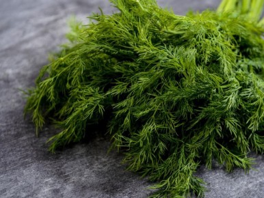 ��� ��������� ������ �����: ������� � �������� �� ������� ���������