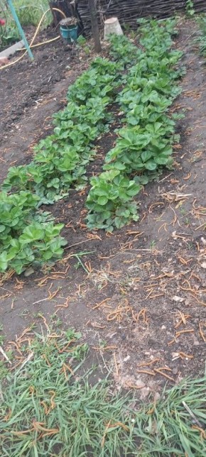 ��� ��������� ��������� ������ � ��������� �� ���������� ������ �����������