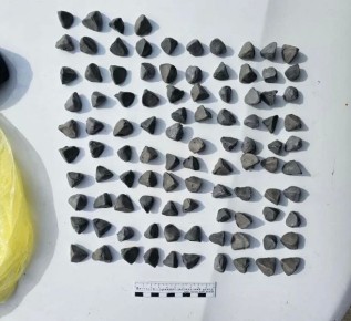 � ���������-�������� ����������� ������ �� ����������� ������� ����� 680 �������� � ���������