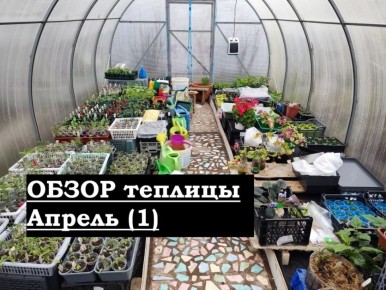 ������� � ������: ������� ����� �� �������� ���������