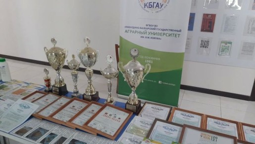 � ������� �������� ���� �������� ��������� ��������� ������������������ ����� ��� �������� 8-9 ������� "�������"