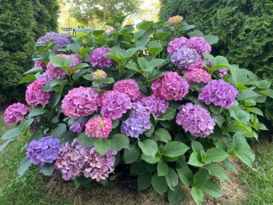 ��������: "�� ����� �������� �������� ��������� � ������ �� 5-6 ����� �� ������"