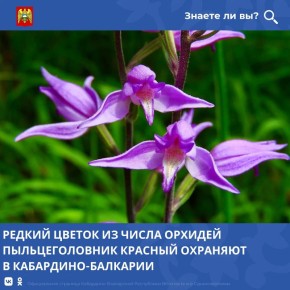� ���������-���������� ���������� ������ �������� ��������� ���������� ������ � ���������� ����� ��������