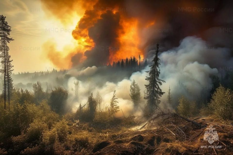 Внимание, пожарная опасность