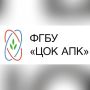 Эксперты проверили 983 тонны экспортной моркови