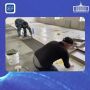 � ������ ������������� ������� �������� � ���� � �������� ��������� ����� �������� ��������� ����������� ������ ������ �����