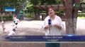 На летние каникулы ушли не только школьники
