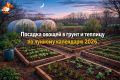 Секреты успешного огорода: как лунный календарь влияет на посадку овощей в 2026 году