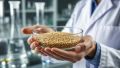 Специалисты из КБР проводят госмониторинг зерна для Чеченской Республики