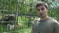 Сегодня во всем мире отмечают Международный день тигра