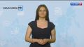 Осень готовит немало перемен: от новых правил за рулём до неожиданных нюансов с утилизацией лекарств