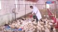 Прибавка к пенсии, больничные для самозанятых и штрафы для управляющих компаний…