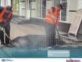 В городском округе Нальчик продолжаются работы по капитальному ремонту улицы Пачева
