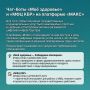Оцените удобство цифровых помощников: чатботы «Моё здоровье» и «МФЦ КБР» на платформе «МАКС»