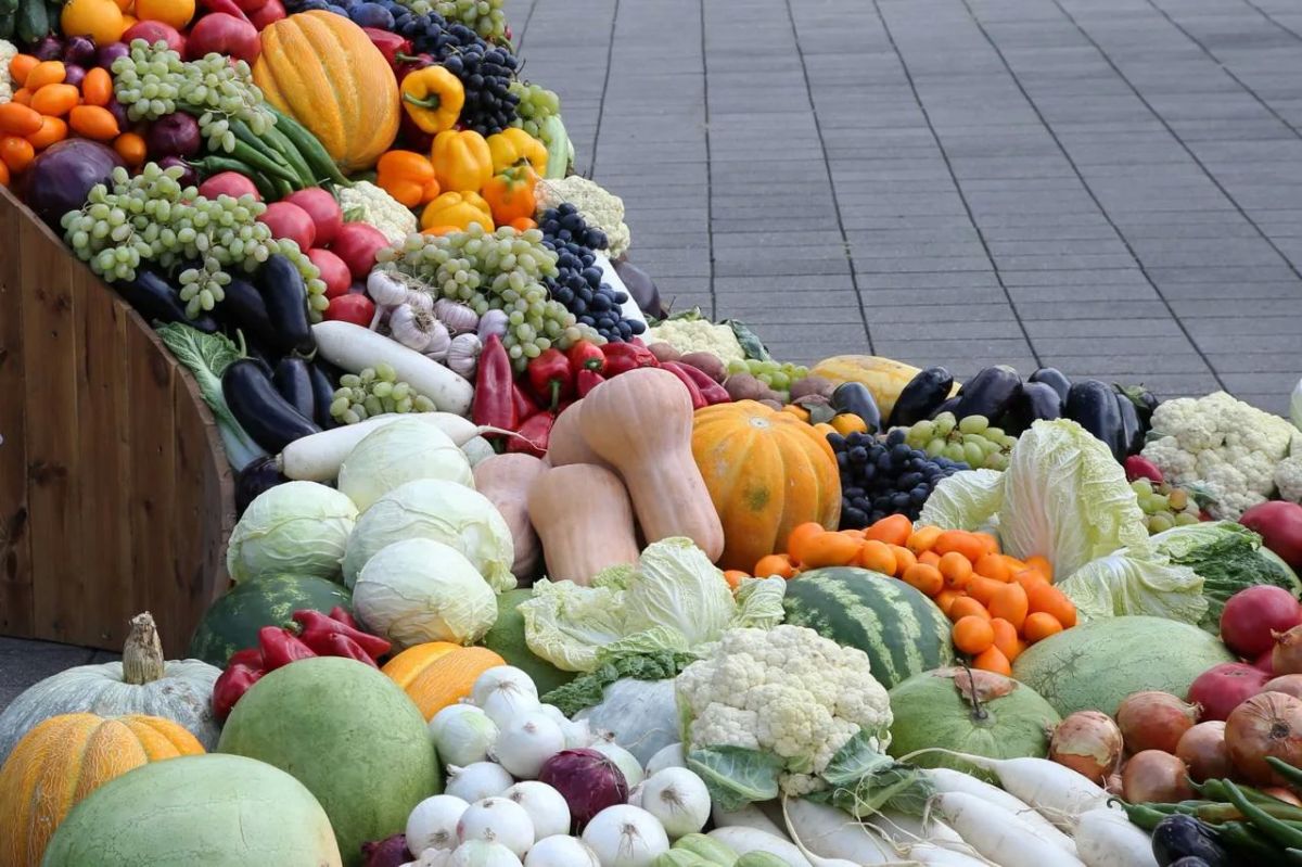 В Нальчике открылся гастрономический фестиваль «Вкусы России» В Нальчике открылся гастрономический фестиваль «Вкусы России»