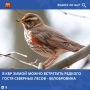 ���������-�������� �������� ������ ��������� � ������� ������ ����� ����, � ��� ����� ������� ����������� � ���������� ������ � ����������� ������� ������� �������� � ��������-������ ������
