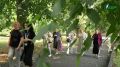 Тайны старого Нальчика: бесплатные исторические экскурсии по центру столицы