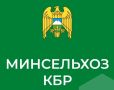В Кабардино-Балкарии началась уборка подсолнечника