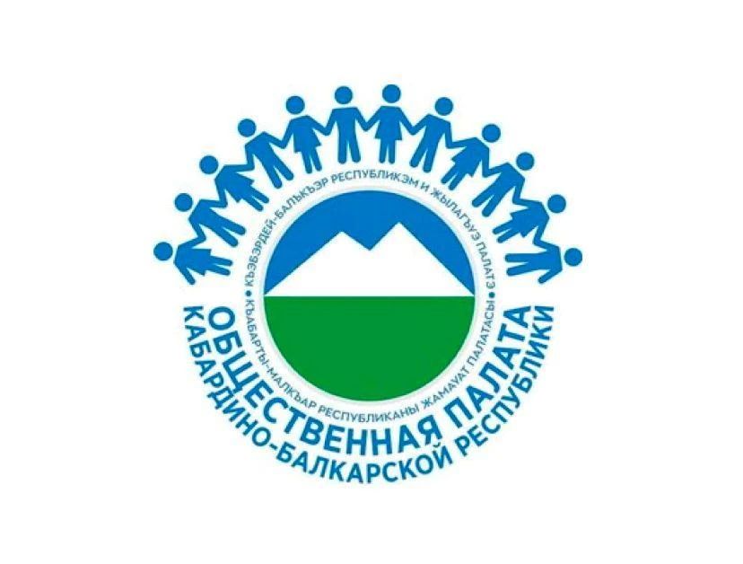 Общественный штаб КБР заявил об отсутствии нарушений на выборах в Госдуму