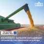 Производство семенной кукурузы — традиционное направление для Кабардино-Балкарии