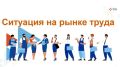 В КБР численность занятого населения в экономике и социальной сфере по официальным статическим данным повышается и в среднем во 2 кв. 2026г.достигла значения 463,1 тыс