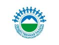 Общественный штаб КБР заявил об отсутствии нарушений на выборах в Госдуму