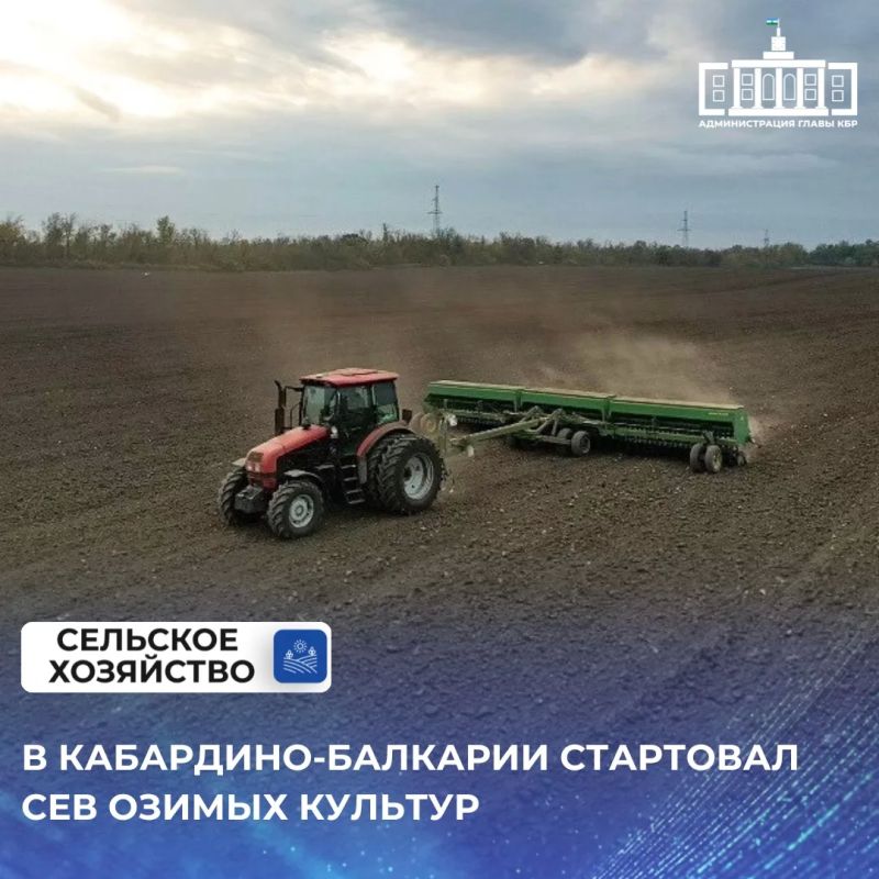 Земледельцы Кабардино-Балкарии приступили к севу озимых культур, уже посеяно более 2 тысяч гектаров озимых – рапса, ячменя, пшеницы
