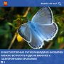 Кабардино-Балкария известна уникальными высокогорными ландшафтами, которые служат местом обитания редких видов животных и насекомых