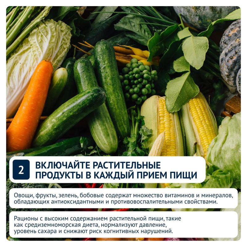 Здоровое сердце — здоровый мозг: 5 привычек, которые снижают риск деменции Здоровое сердце — здоровый мозг: 5 привычек, которые снижают риск деменции