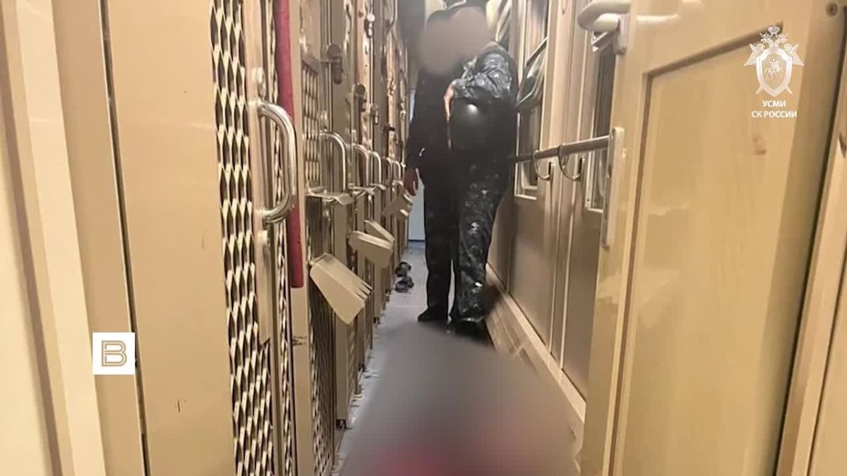 Следком России показал кадры с места нападения осужденного на сотрудника конвоя в поезде Владикавказ - Адлер