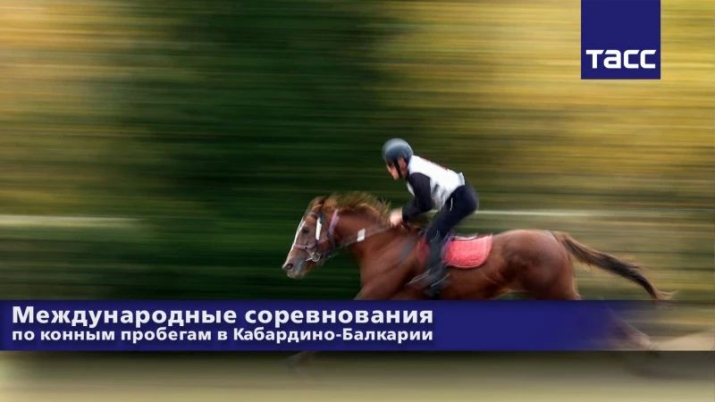 #Прямосейчас Региональный информационный центр "ТАСС Кавказ" в Пятигорске проводит пресс-конференцию, посвященную международным соревнованиям по конным пробегам "Открытый Чемпионат и Первенство СНГ памяти первого Президента...