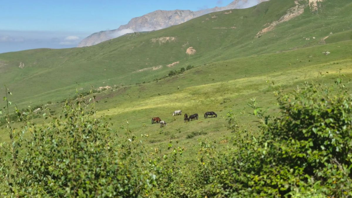 Погода в Кабардино-Балкарии на 19 октября
