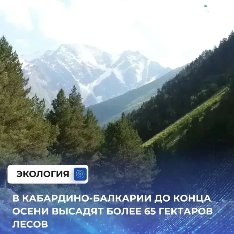 В Кабардино-Балкарии идет осенний лесокультурный сезон