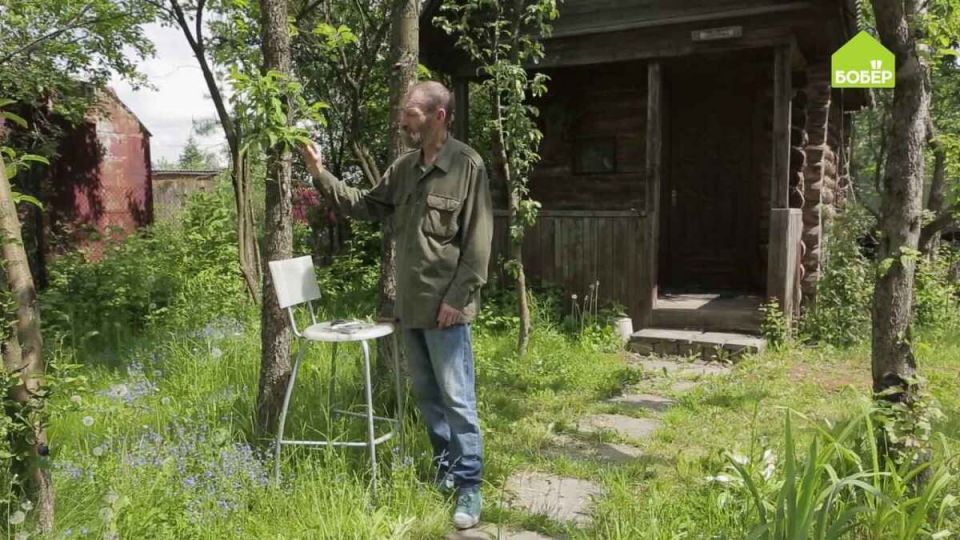 Тайны прививки плодовых деревьев: два простых способа