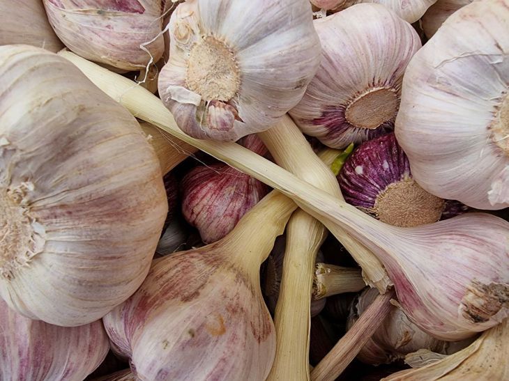 Эти продукты обязательно должны быть на кухне: выручат в любой ситуации