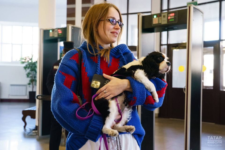 В Госдуме обсуждают обязательную маркировку домашних животных: что это значит для владельцев?