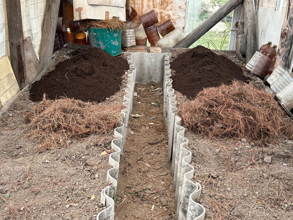 Как подготовить теплицу к зиме: борьба с грибковыми болезнями