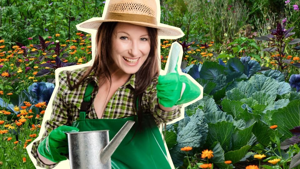 Такой водой поливают растения опытные цветоводы и дачники: все цветет, плодоносит и благоухает