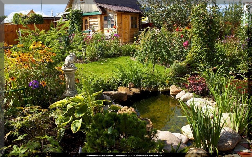 Как создать цветущий сад без особых усилий: идеальные растения для вашего участка