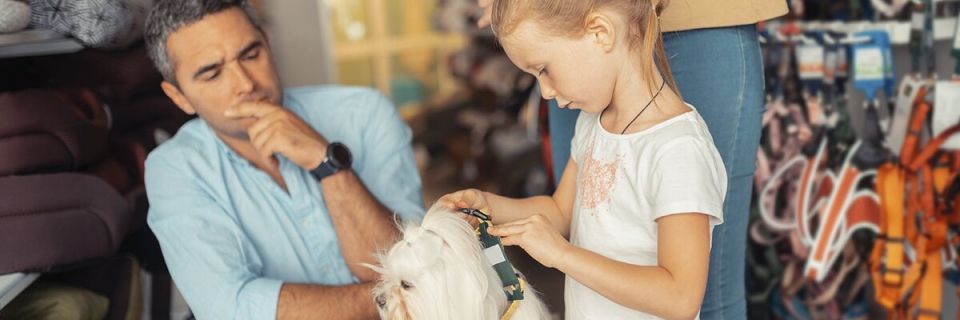 Как вернуть животное в зоомагазин: основные нюансы и советы